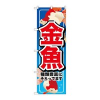 ̂ڂVTQR