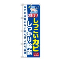 ̂ڂfma|SXVJr菜