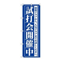 ̂ڂfma|TSXŉJÒ