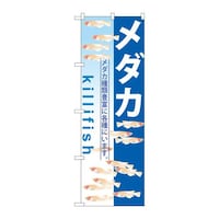 ̂ڂfma|TVP_J