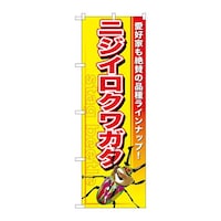 ̂ڂfma|TXXjWCNK^