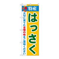 ̂ڂQPSWQYI͂