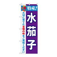 ̂ڂQPSXUYI֎q
