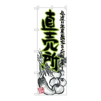 ̂ڂQPXOSCXg