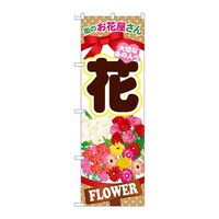 ̂ڂfma|POOP