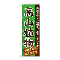 ̂ڂfma|POVQRA