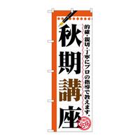 ̂ڂfma|PTUSHu