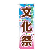 ̂ڂfma|PUSV