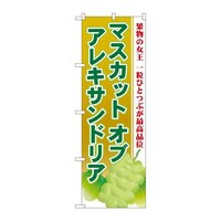 ̂ڂrmaPRWT}XJbgIuALThA