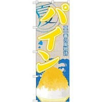 �̂ڂ�r�m�a�|�S�P�S�p�C���i�����X�j�@�r�m�a�|�S�P�S�@�P��