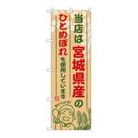 ̂ڂrma|WWT{錧ŶЂƂ߂ڂ