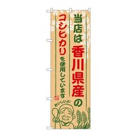 ̂ڂrma|XRU쌧ỸRVqJ