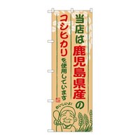 ̂ڂrma|XTQỸRVqJ