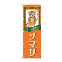̂ڂfma|QSSW\}