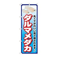 ̂ڂfma|QSSX_}_J
