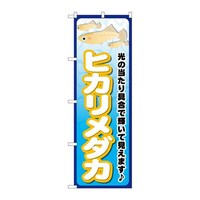 ̂ڂfma|QSVTqJ_J