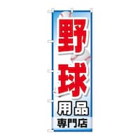 ̂ڂfma|QTRS싅piX