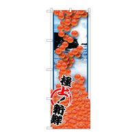 ̂ڂrma|PTUR