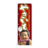 �̂ڂ�r�m�a�|�Q�Q�O�S�₫�����q���ʐ^