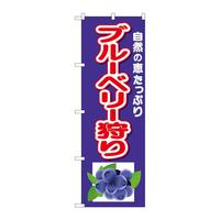 ̂ڂQUTSXu[x[艺CXg