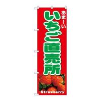 ̂ڂQUTTSʐ^