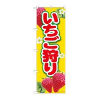 ̂ڂWSSQU艩lsl