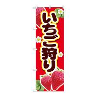 ̂ڂWSSQVԂlsl