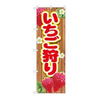 ̂ڂWSSQXlsl