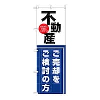 ̂ڂfma|RQTXsYp