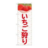 ̂ڂWPXVX肢ʐ^hil