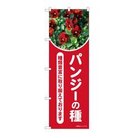̂ڂWSQRTpW[̎ʐ^nsl