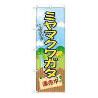 ̂ڂfma|RUWS~}NK^̔