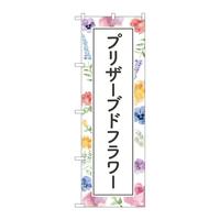 ̂ڂfma|SOQXuU[uht[wi