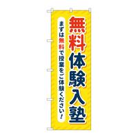 ̂ڂfma|SQXW̌mF