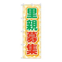 ̂ڂfma|SRRXeW