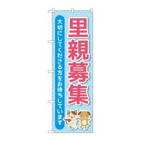̂ڂfma|SRSOeWF