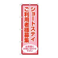 ̂ڂfma|SRWWV[gXeCpҗlW
