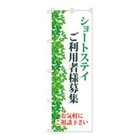 ̂ڂfma|SRWXV[gXeCpҗlW