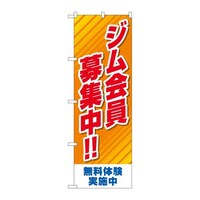 ̂ڂfma|SUXSWWIW