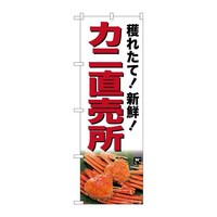 �̂ڂ�r�m�a�|�V�O�P�V�J�j������