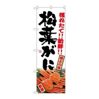 �̂ڂ�r�m�a�|�V�O�Q�Q���t����