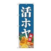 �̂ڂ�r�m�a�|�V�P�U�Q���z���V�N