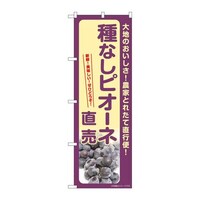 �̂ڂ�r�m�a�|�V�P�W�S��Ȃ��s�I�[�l����