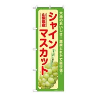 �̂ڂ�r�m�a�|�V�P�X�O�V���C���}�X�J�b�g�R�����Y