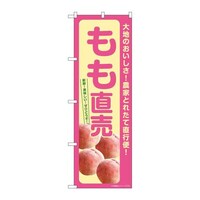 ̂ڂrma|VQOR