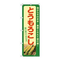 ̂ڂrma|VQUVƂ낱