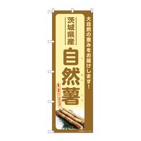 ̂ڂrma|VQWWR錧Y