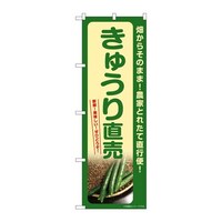 ̂ڂrma|VRQUイ蒼