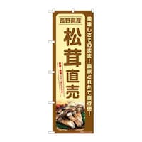 �̂ڂ�r�m�a�|�V�R�T�W�����������쌧�Y