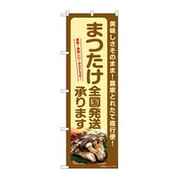 �̂ڂ�r�m�a�|�V�R�U�Q�܂����S������